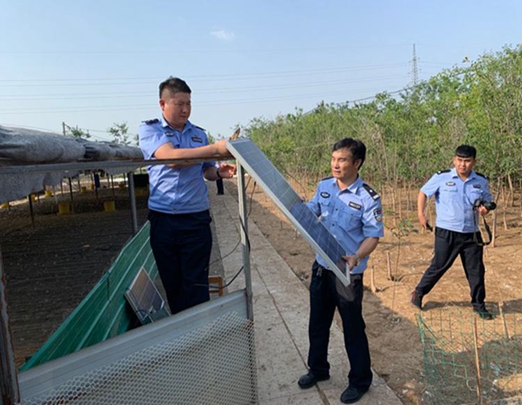 济宁最新二手轻卡市场深度解析