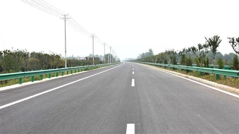 桐城S465道路最新情况