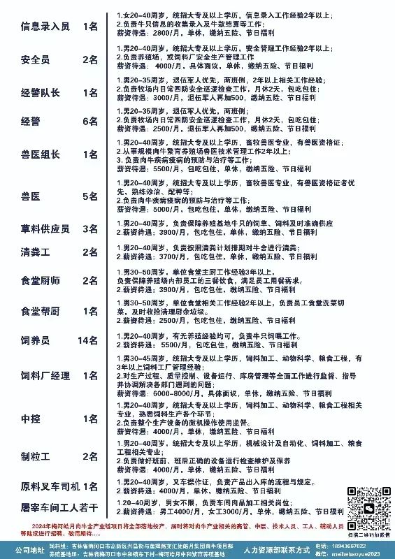 吴川梅录招聘网最新招聘动态深度解析