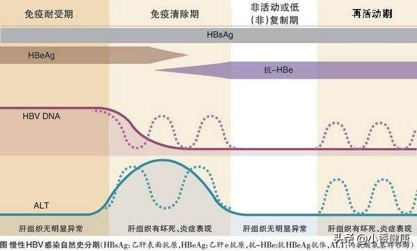 关于大三阳最新治疗方法的探讨