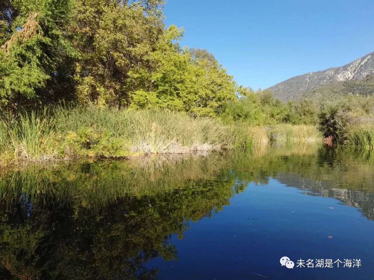 九江黄飞龙最新消息，探寻传奇人物的最新动态