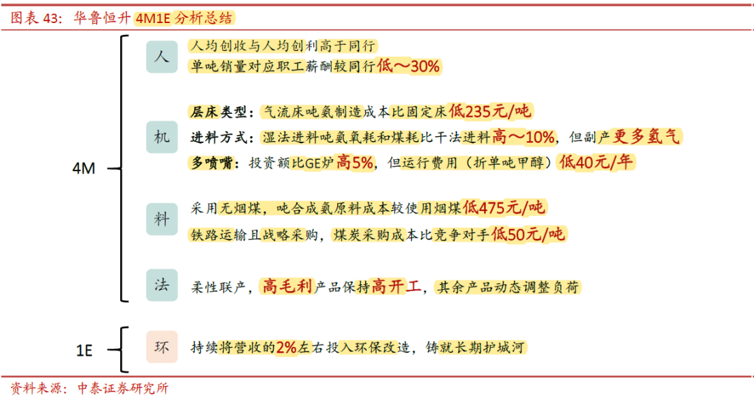 新版非城勿扰最新一期，深度解析与观察